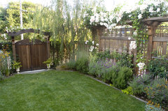 Need ideas, please, for for privacy trellis - front yard - block view