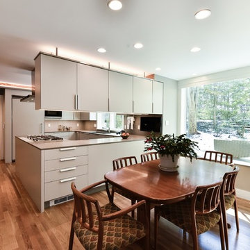 Modern Kitchen Remodel