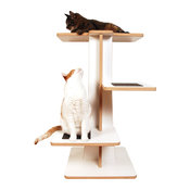 Acacia Cat Tree