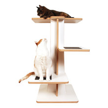 Cat Trees/Condos