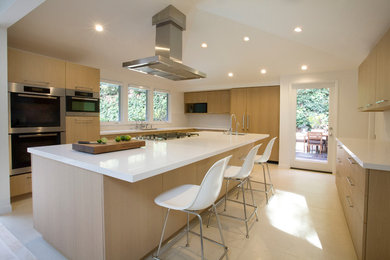 Example of a minimalist kitchen design in Los Angeles