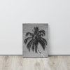 Palm Over Water Black and White Nature Photo Canvas Wall Art Print, 12" X 16"