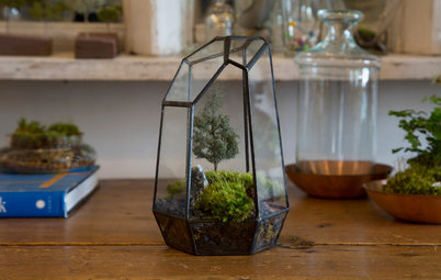DIY : Apprenez à fabriquer un terrarium de mousse
