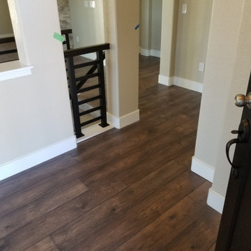 Project Canyon Vista