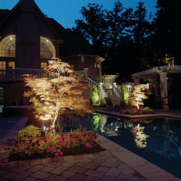 Landscape Lighting