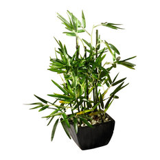 18" Faux Bamboo Plant, Lush Artificial Bamboo, Pot, River Stones