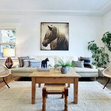 horse