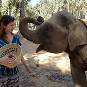 Foto von Stephanie Tarasoff