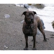 Alicia Power's photo