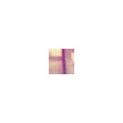 L's photo