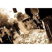 Laura Wellman's photo