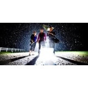 Ron Mann's photo