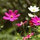 webuser_738765