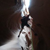 Luke Behrmann's photo