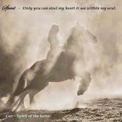 Janelle Hillard's photo