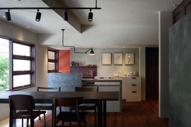Open concept kitchen - small craftsman galley dark wood floor open concept kitchen idea in Tokyo Suburbs with flat-panel cabinets, white cabinets, gray backsplash, stainless steel appliances and an island