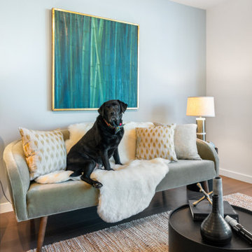 Updating a Mass-produced Contemporary Condominium in San Francisco