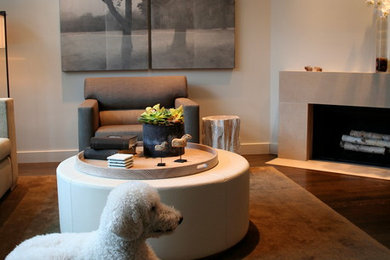Inspiration for a modern living room remodel in Other