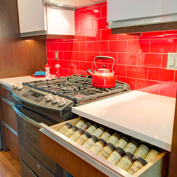 Contemporary Kitchen with a convenient spice drawer