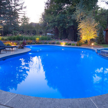 Lagoon Inground Pool In A Craftsman Style Backyard