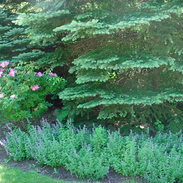Plantings