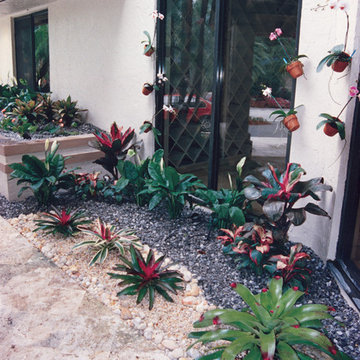 Clean-Lined Entry Garden in Boca Raton