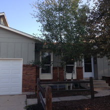 Exterior Paint