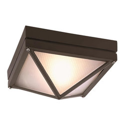 Trans Globe Lighting - 1 Light Flush-Mount, Rust - Outdoor Flush-mount Ceiling Lighting