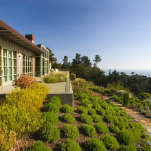 Terrace overlooking