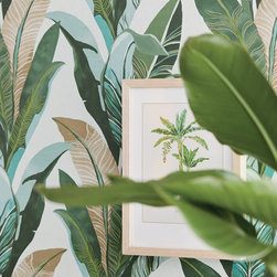 Vivid Wallpaper Collection - Wallpaper