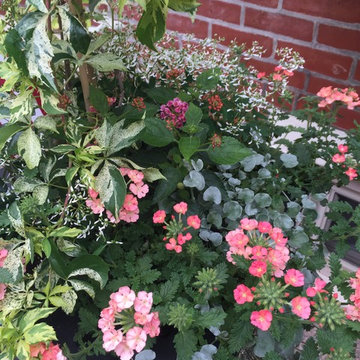 Summer 2016 Installations