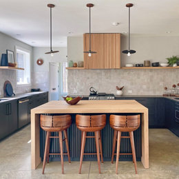 https://www.houzz.com/photos/hilltop-road-midcentury-kitchen-new-york-phvw-vp~190146058