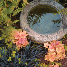 Landscape Ideas