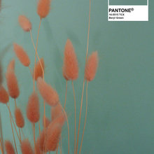 Accent Wall Color