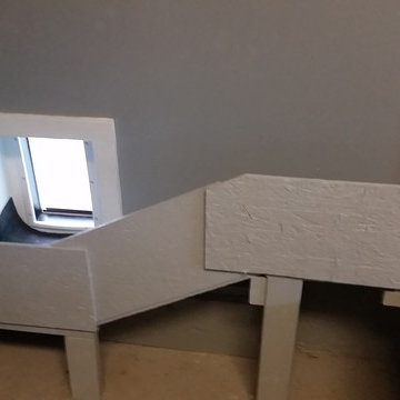 Small Dog Door and Ramp