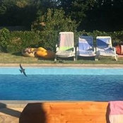 Daniela Giemza's photo