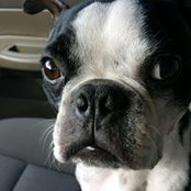 Helen Spalding's photo