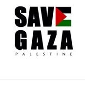 Zayne Mseis's photo