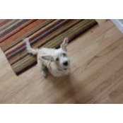Randi Smith's photo