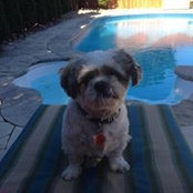 Luisa Milone's photo