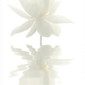 Marge Beekel Browning's photo