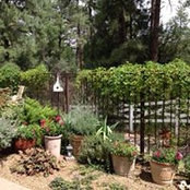 Dianna Hardy's photo