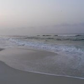 Elizabeth Leman's photo