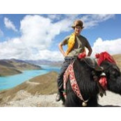 Photo de Genghis Phan