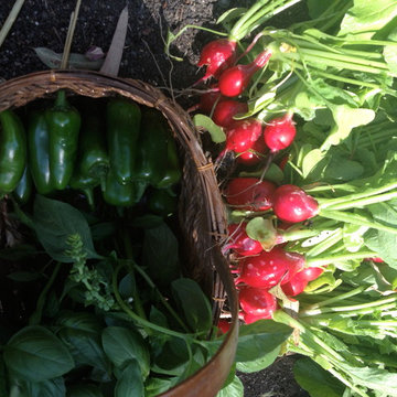 ebay, inc. Corporate Vegetable Garden Installation & Employee Garden Education