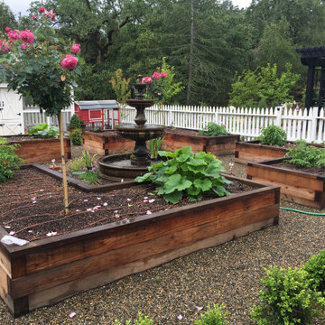 Vegetable Garden