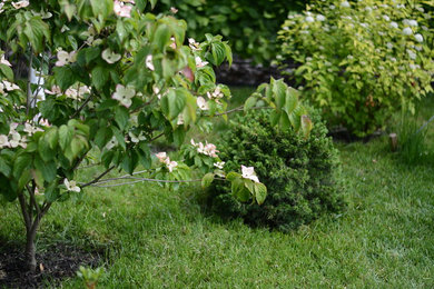 Design ideas for a landscaping in Other.