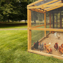 Chicken house