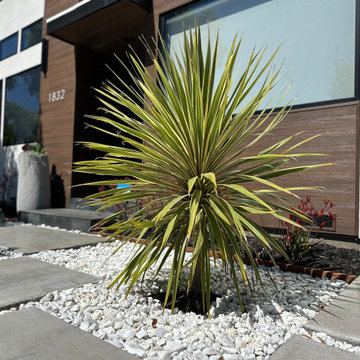 Tech-Savvy Tranquility: Sustainable Yard Design
