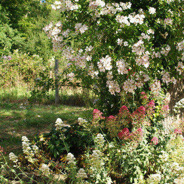 Jardin de Roses